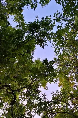 ปกนิยาย MY SUN