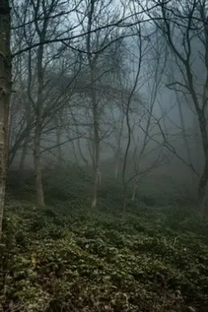 ปกนิยาย สายลมรัตติกาล (sf/of