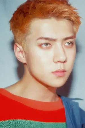 ปกนิยาย [Exo] ฮุนโรคจิต Hunbaek |Sebaek