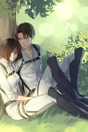 ปกนิยาย Fic Attack on titan ชอบหรือเกลียด {Levi x Mikasa}