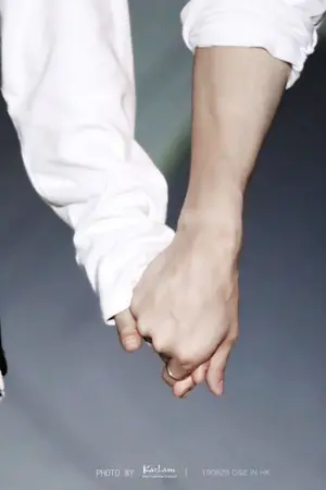 ปกนิยาย Accidentally