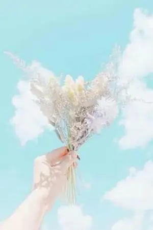 ปกนิยาย .......ฝึกแต่งนิยายค่ะ...