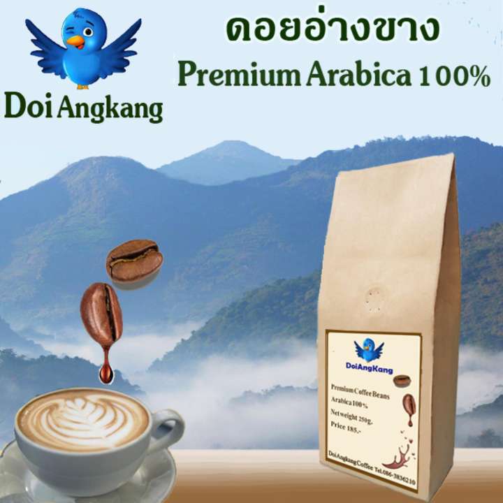 เมล็ดกาแฟคั่ว กาแฟสดดอยอ่างขาง อาราบิกา Arabica