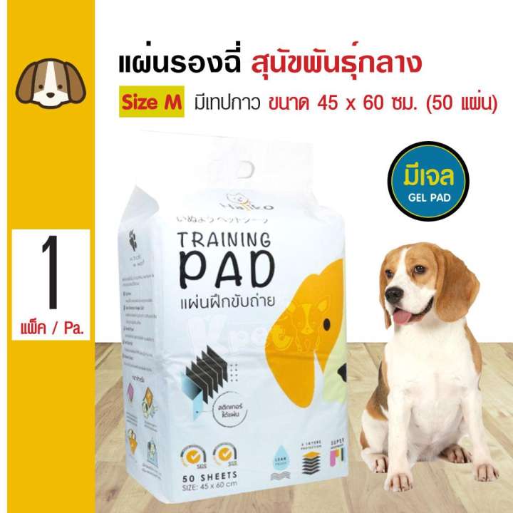 Hajiko แผ่นรองฉี่สุนัข สูตรเจลซึมซับดี