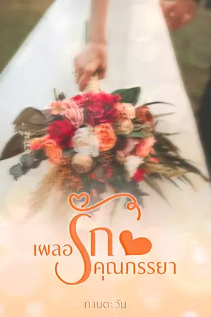 ปกนิยาย เผลอรักคุณภรรยา