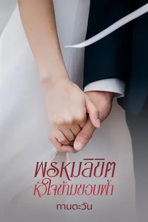 ปกนิยาย พรหมลิขิตหัวใจข้ามขอบฟ้า