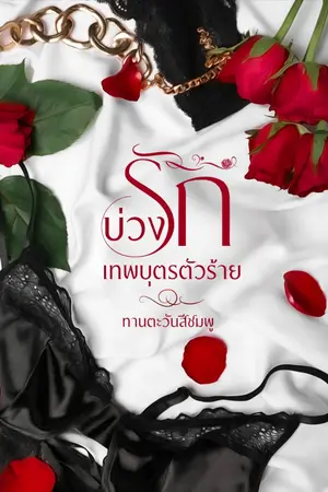 ปกนิยาย