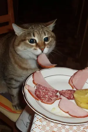 ปกนิยาย พี่ๆความรักจานหนึ่ง l yaoi