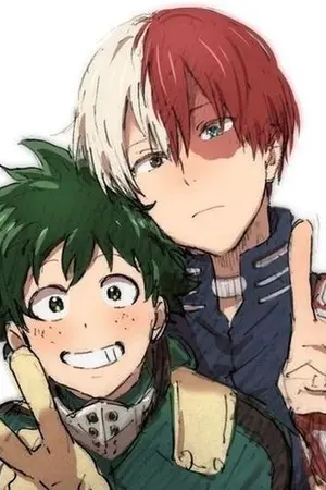 ปกนิยาย [Boku no Hero Academia]การเเสดงอลเวง[Tododeku]