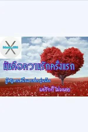 ปกนิยาย มันคือความรักครั้งแรก