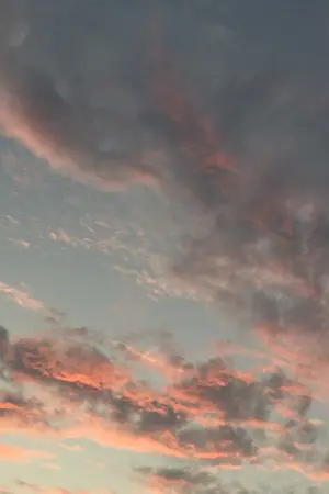 ปกนิยาย i only wrote fairy tales