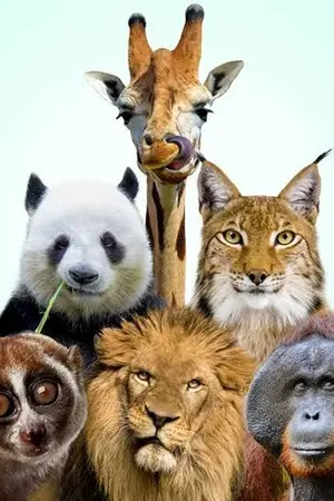 ปกนิยาย [The Animal] เกิดใหม่ทั้งทีขอเกิดเป็นคนไม่ได้รึไง!!!