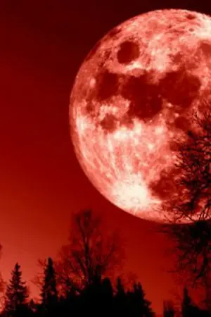 ปกนิยาย คืนสีเลือด