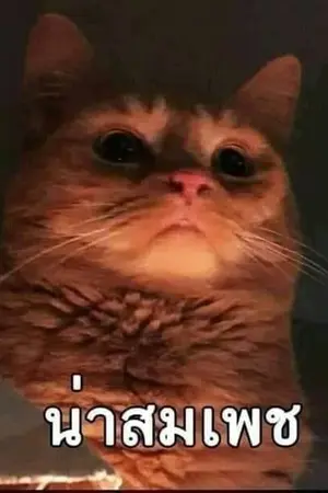 ปกนิยาย นิกายของข้าร่ำรวยที่สุดในใต้เหล้า