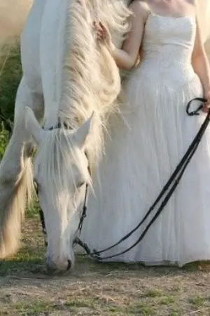 ปกนิยาย [Tokyo revengers x OC ] 3เทพ 3แฝด