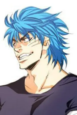 ปกนิยาย Fic toriko x oc  หัวใจจตุรเทพ