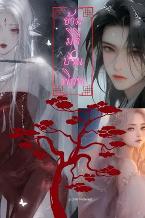 ปกนิยาย ข้ามมิติป่วนพิภพ