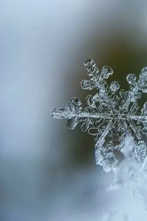 ปกนิยาย FIC INAZUMA ELEVEN ORION NO KOKUIN ฝากหิมะไปบอกดวงดาว