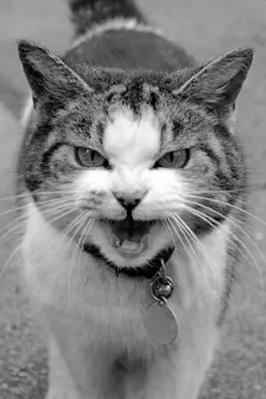 ปกนิยาย ระบบผู้พิทักษ์