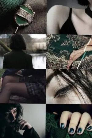 ปกนิยาย [Harry Potter]นางร้ายขอปฏิวัติตัวเอง [DMXPP]