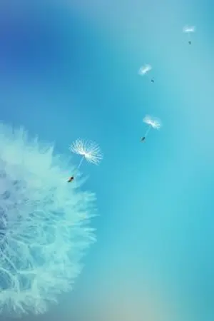 ปกนิยาย กลายเป็นตัวร้ายในนิยาย