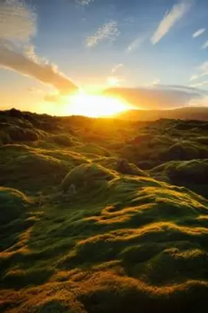 ปกนิยาย The dawn of the sun