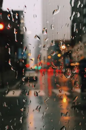 ปกนิยาย deep&cozy [Y : rainverse]