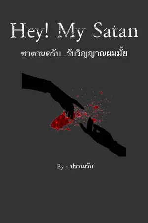 ปกนิยาย