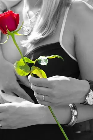 ปกนิยาย ต้องมน(ต์)