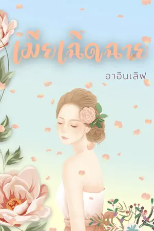 ปกนิยาย เมียเฉิดฉาย