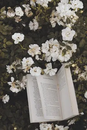 ปกนิยาย ได้พบคุณ - TaeTen