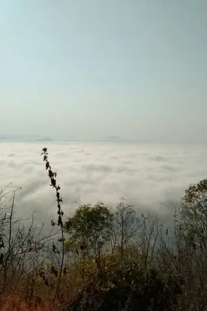 ปกนิยาย ฝันเพ้อ