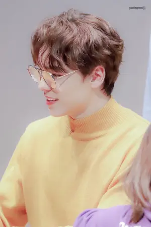 ปกนิยาย My Fan : Vernon x you (seventeen)