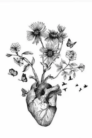 ปกนิยาย PICTURE.    [ YAOI ]