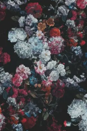 ปกนิยาย THE COLORS { YAOI }