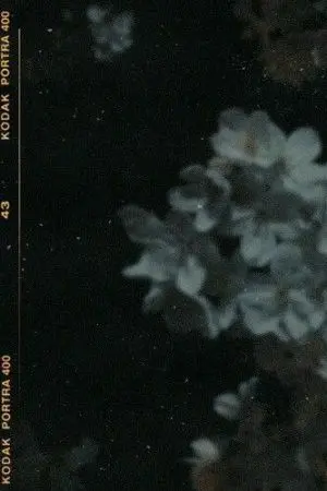 ปกนิยาย Apathetic     { YAOI }