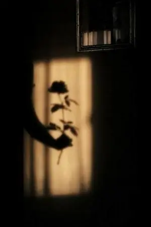 ปกนิยาย SERENDIPITY (YAOI,OMEGAVERSE)