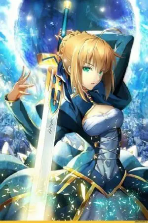 ปกนิยาย Fateถ้าเกิดตัวละครในAnimeมาเป็นวีรชน