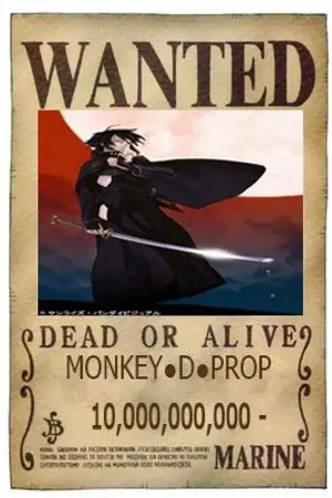 ปกนิยาย Fic One piece : พร็อบนักล่าค่าหัว