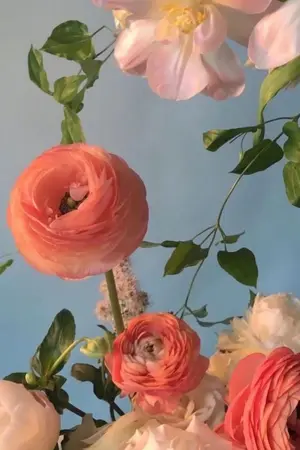 ปกนิยาย OS&SF - HunHan Geschichte endet nie