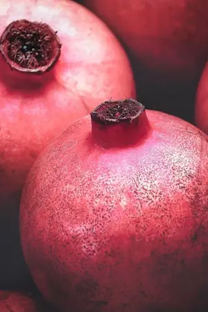 ปกนิยาย เนื้อยังมีหลายชิ้น แต่เนื้อคู่อ่ะ แค่พี่คนเดียวนะครับ