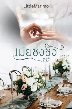 ปกนิยาย เมียชิงชัง 20+