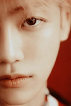 ปกนิยาย NCT MINNO | Yes, Your Highness.