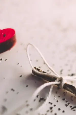 ปกนิยาย ดอกเบี้ยหัวใจ.