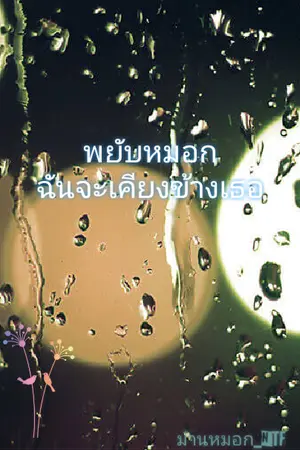 ปกนิยาย พยับหมอก ฉันจะเคียงข้างเธอ