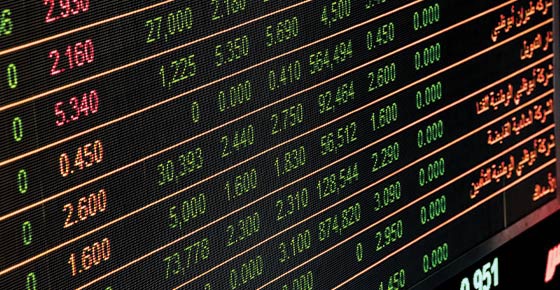 ภาพจาก pexels.com