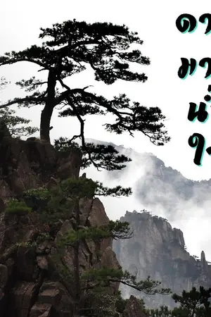 ปกนิยาย ดาบมากน้ำใจ