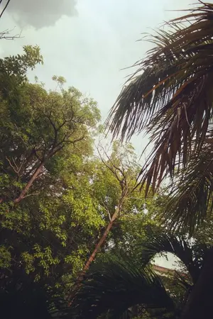 ปกนิยาย ยินดีที่ได้พบ เหล่าคนทรยศ