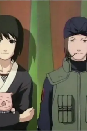 ปกนิยาย รักของยัยชิสึเนะ