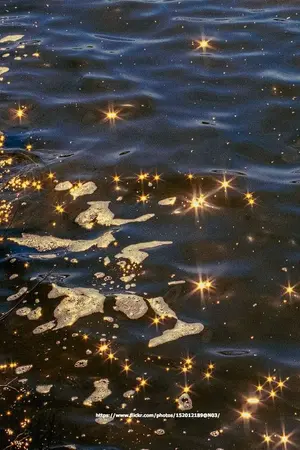 ปกนิยาย ราชาคู่บัลลังก์ [Mpreg]